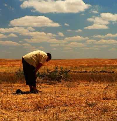 Namaz